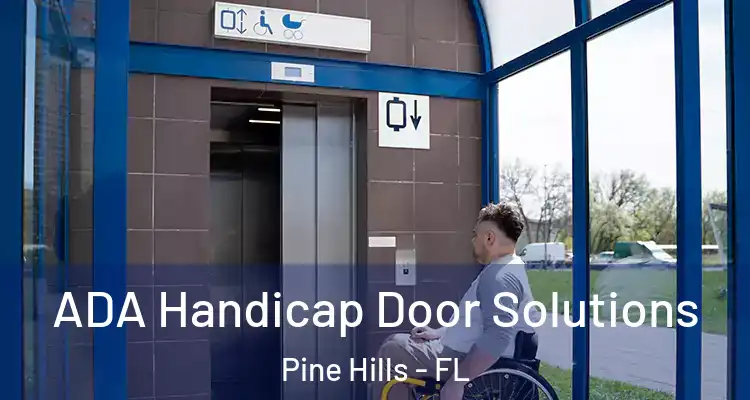 ADA Handicap Door Solutions Pine Hills - FL