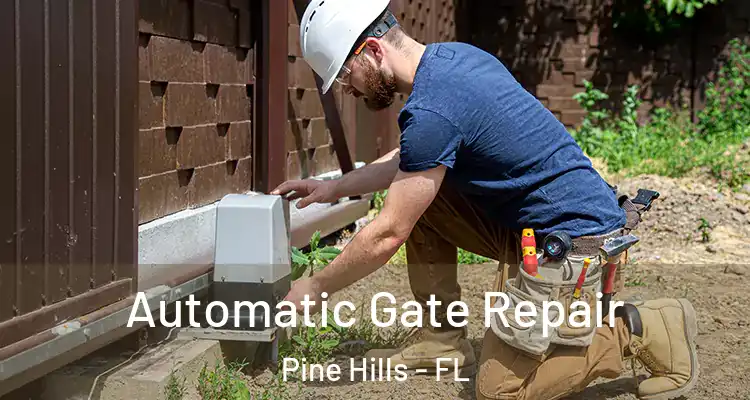 Automatic Gate Repair Pine Hills - FL