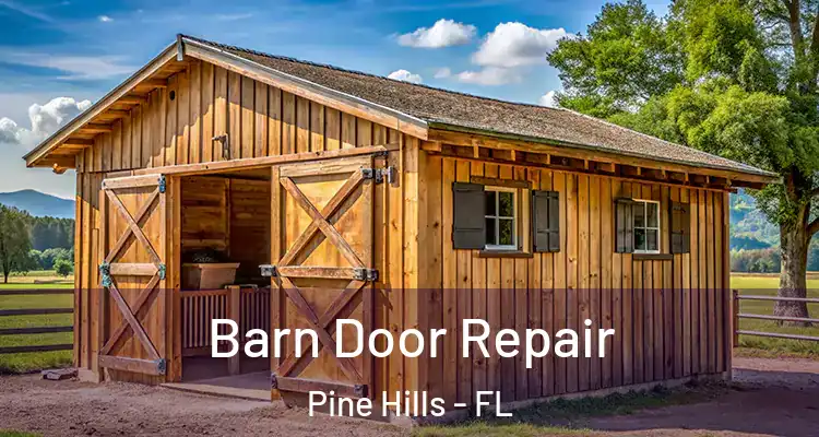 Barn Door Repair Pine Hills - FL