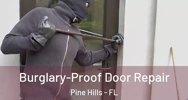 Burglary-Proof Door Repair Pine Hills - FL