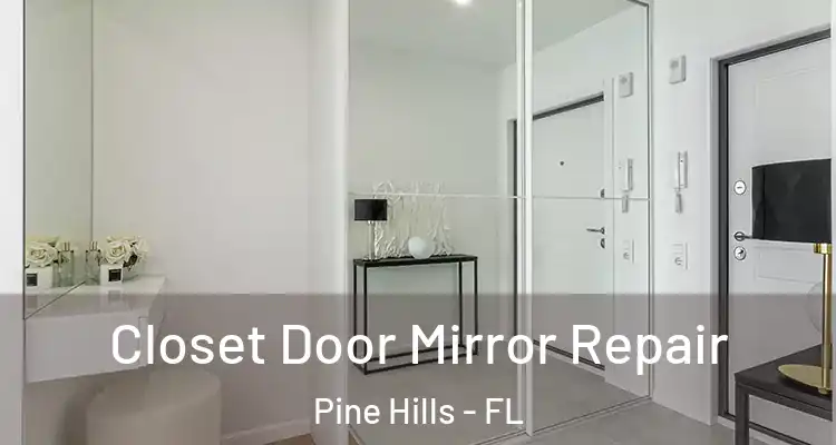 Closet Door Mirror Repair Pine Hills - FL