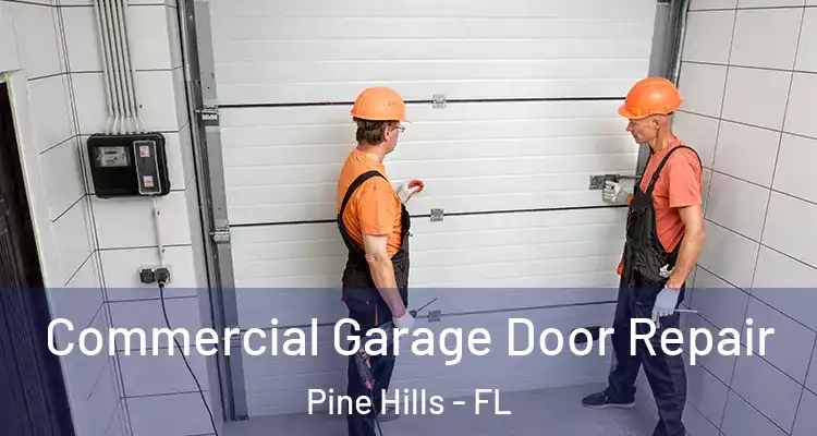 Commercial Garage Door Repair Pine Hills - FL