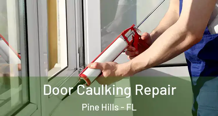Door Caulking Repair Pine Hills - FL