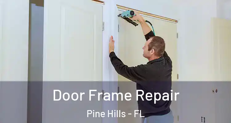 Door Frame Repair Pine Hills - FL
