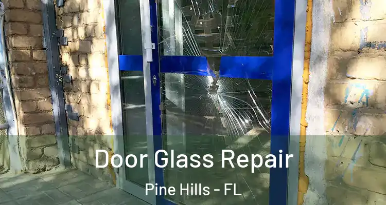 Door Glass Repair Pine Hills - FL