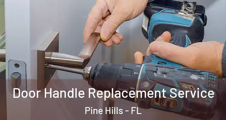 Door Handle Replacement Service Pine Hills - FL