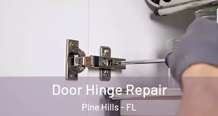 Door Hinge Repair Pine Hills - FL