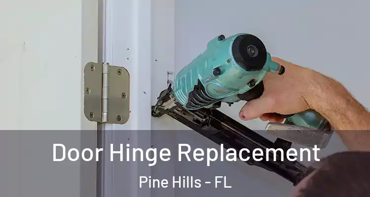 Door Hinge Replacement Pine Hills - FL