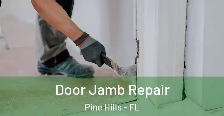Door Jamb Repair Pine Hills - FL