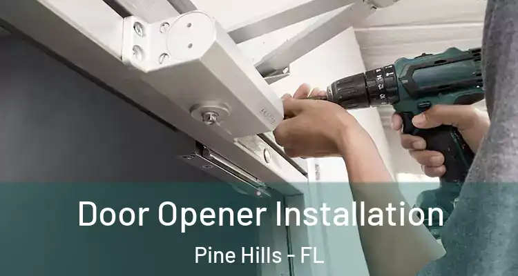 Door Opener Installation Pine Hills - FL