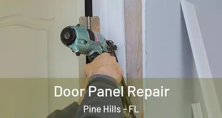 Door Panel Repair Pine Hills - FL