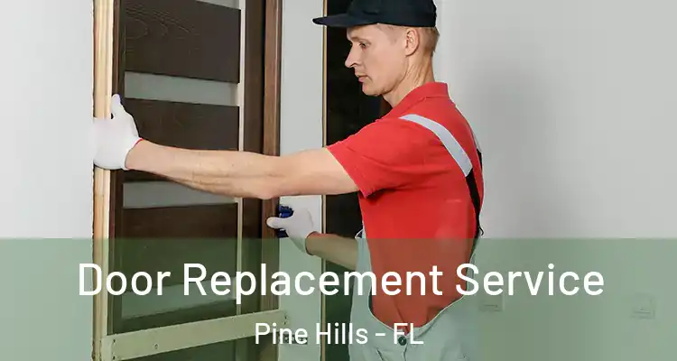 Door Replacement Service Pine Hills - FL