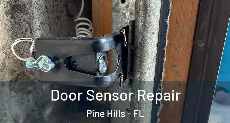 Door Sensor Repair Pine Hills - FL