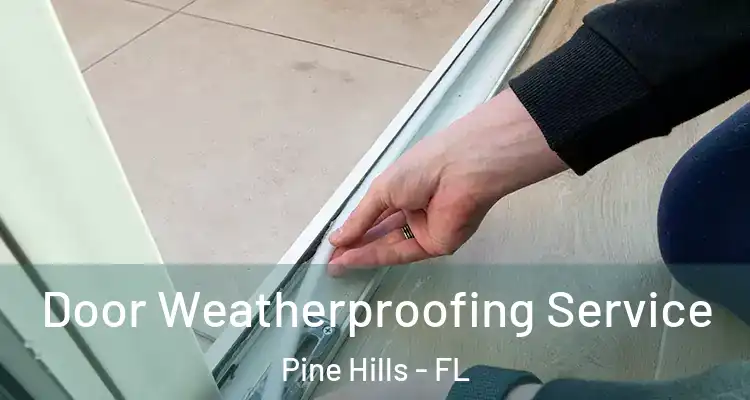 Door Weatherproofing Service Pine Hills - FL