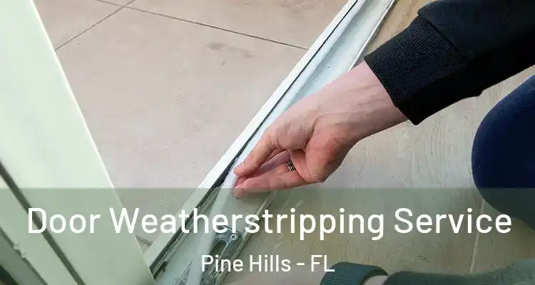 Door Weatherstripping Service Pine Hills - FL