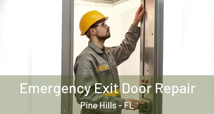 Emergency Exit Door Repair Pine Hills - FL