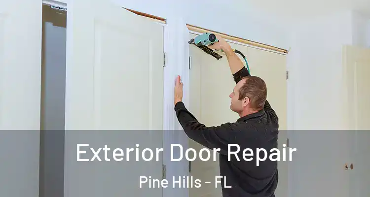 Exterior Door Repair Pine Hills - FL