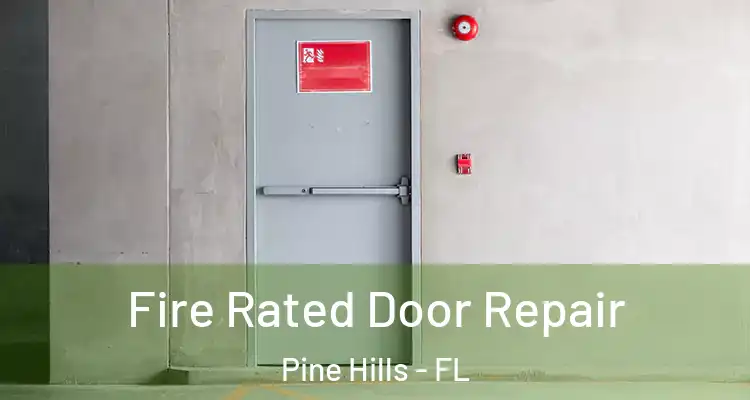 Fire Rated Door Repair Pine Hills - FL