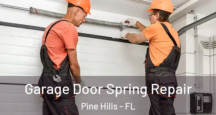 Garage Door Spring Repair Pine Hills - FL