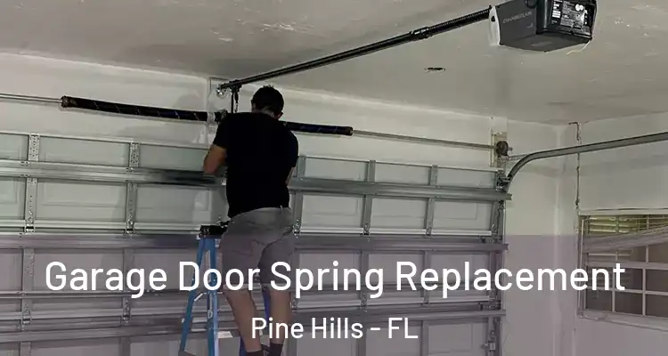 Garage Door Spring Replacement Pine Hills - FL