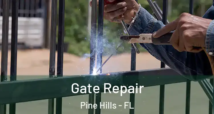 Gate Repair Pine Hills - FL