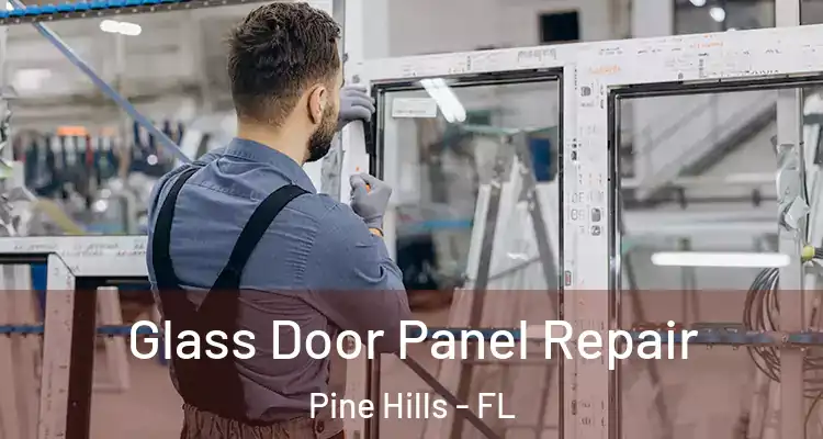 Glass Door Panel Repair Pine Hills - FL