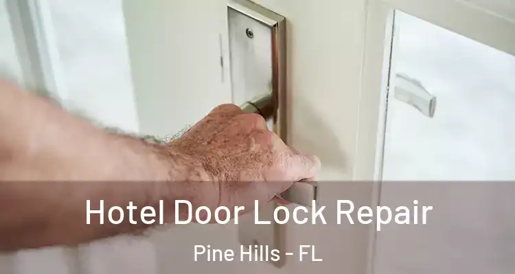 Hotel Door Lock Repair Pine Hills - FL