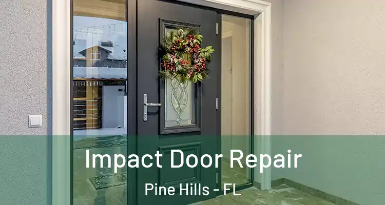 Impact Door Repair Pine Hills - FL