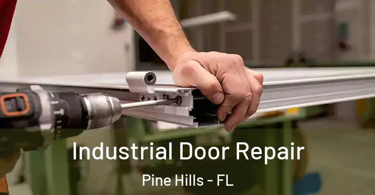 Industrial Door Repair Pine Hills - FL