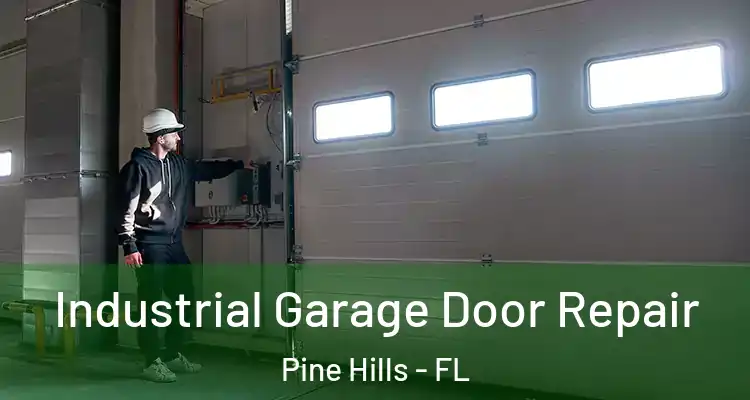 Industrial Garage Door Repair Pine Hills - FL
