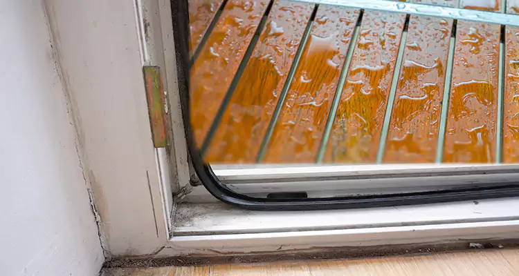 Water Leaking Wooden Patio Doors Repair in Pine Hills, FL