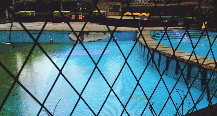 Lanai Screen Repair in Pine Hills, FL