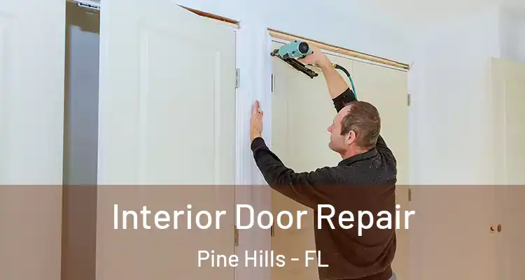 Interior Door Repair Pine Hills - FL
