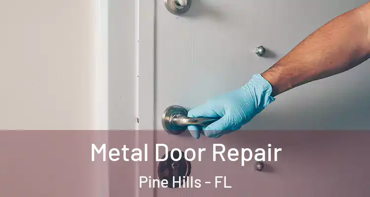 Metal Door Repair Pine Hills - FL