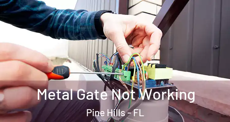 Metal Gate Not Working Pine Hills - FL