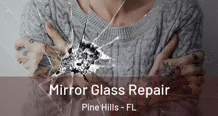 Mirror Glass Repair Pine Hills - FL