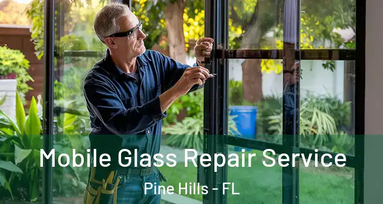 Mobile Glass Repair Service Pine Hills - FL