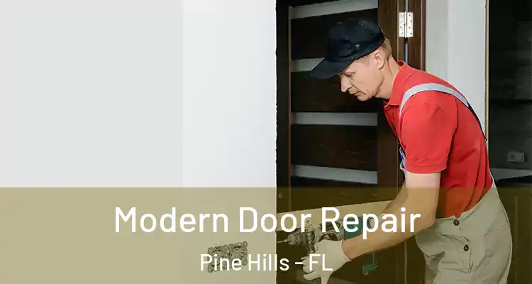 Modern Door Repair Pine Hills - FL