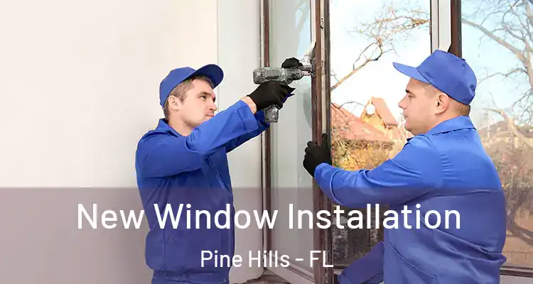 New Window Installation Pine Hills - FL
