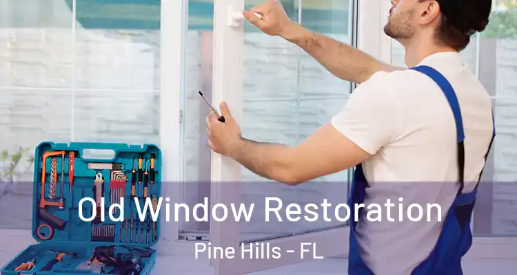Old Window Restoration Pine Hills - FL