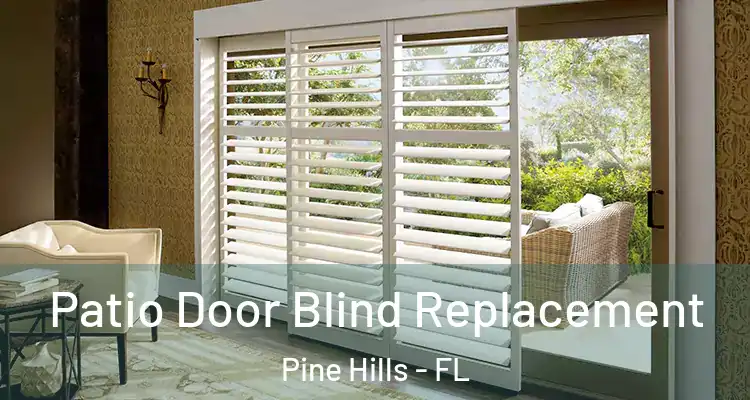 Patio Door Blind Replacement Pine Hills - FL