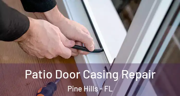 Patio Door Casing Repair Pine Hills - FL