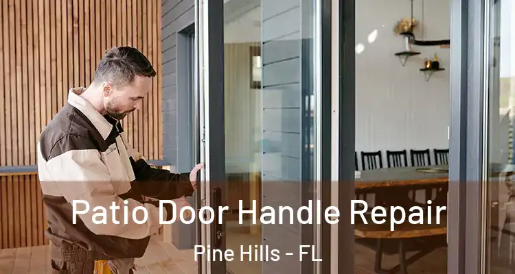 Patio Door Handle Repair Pine Hills - FL