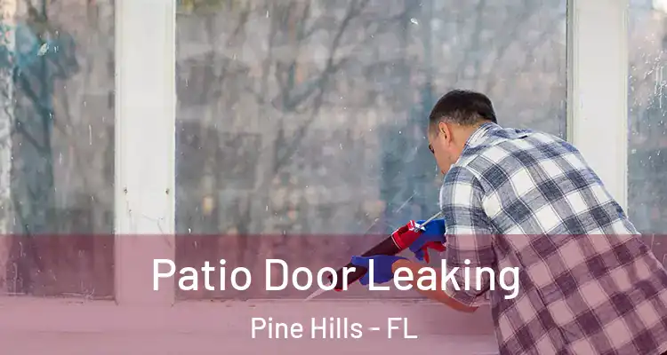 Patio Door Leaking Pine Hills - FL