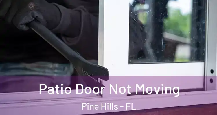 Patio Door Not Moving Pine Hills - FL