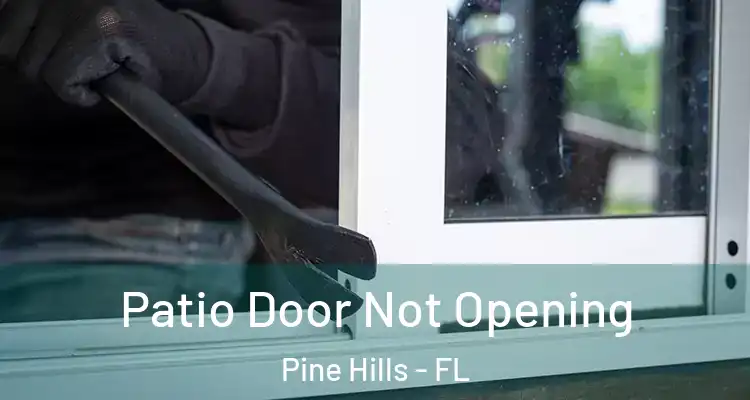 Patio Door Not Opening Pine Hills - FL