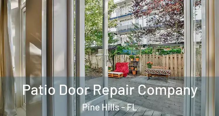 Patio Door Repair Company Pine Hills - FL
