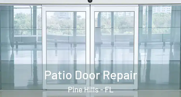 Patio Door Repair Pine Hills - FL