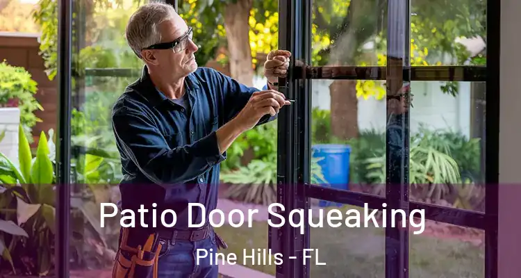 Patio Door Squeaking Pine Hills - FL