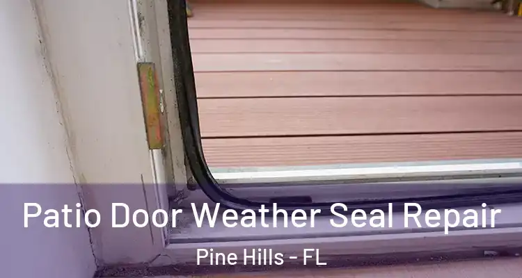 Patio Door Weather Seal Repair Pine Hills - FL
